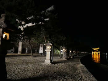 夜の厳島神社鳥居２.jpg