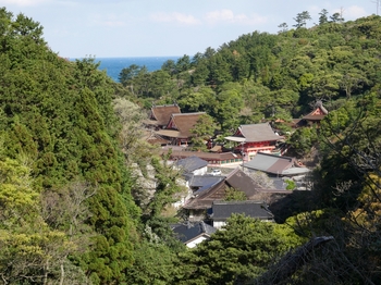 道中から見た日御碕神社２.jpg