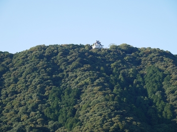 錦帯橋から見る岩国城.jpg